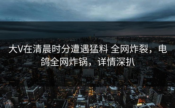 大V在清晨时分遭遇猛料 全网炸裂，电鸽全网炸锅，详情深扒