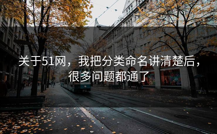 关于51网，我把分类命名讲清楚后，很多问题都通了